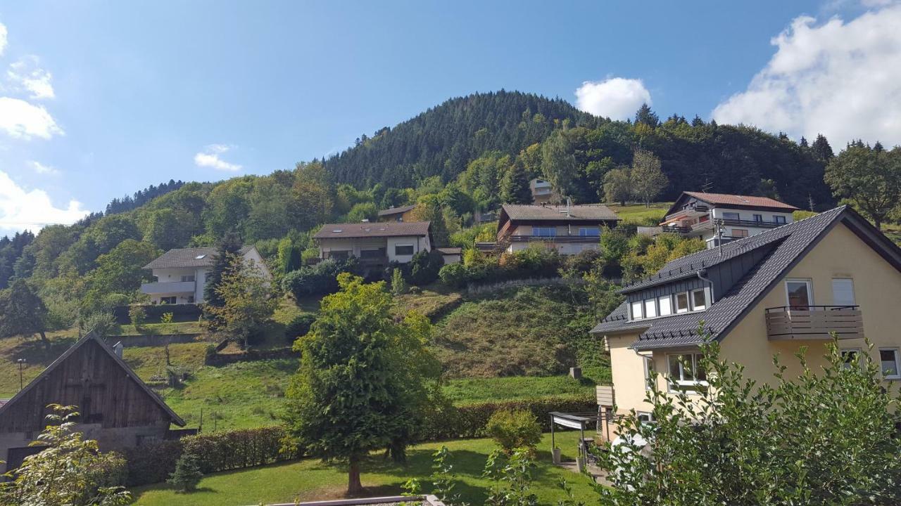 Ferienwohnung Am Kurpark Bad Wildbad Dış mekan fotoğraf