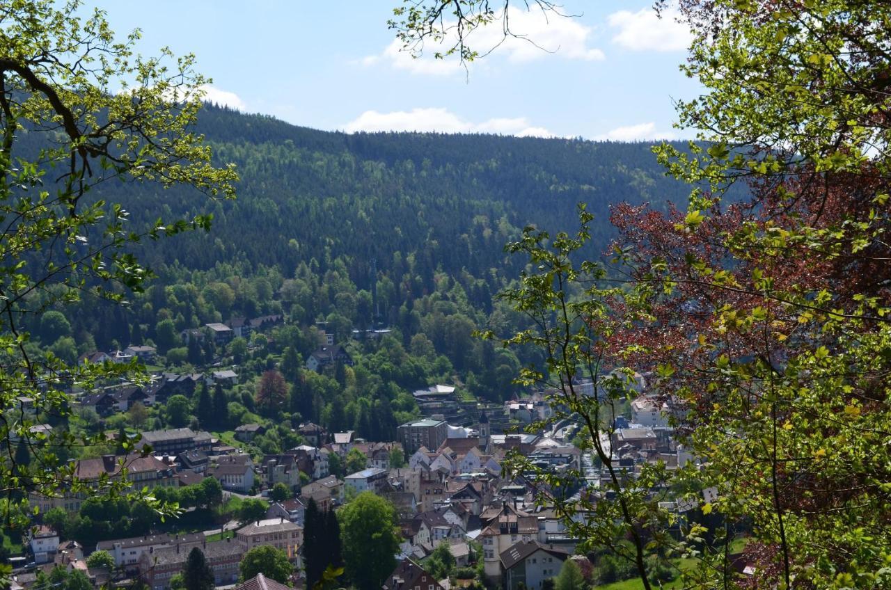 Ferienwohnung Am Kurpark Bad Wildbad Dış mekan fotoğraf