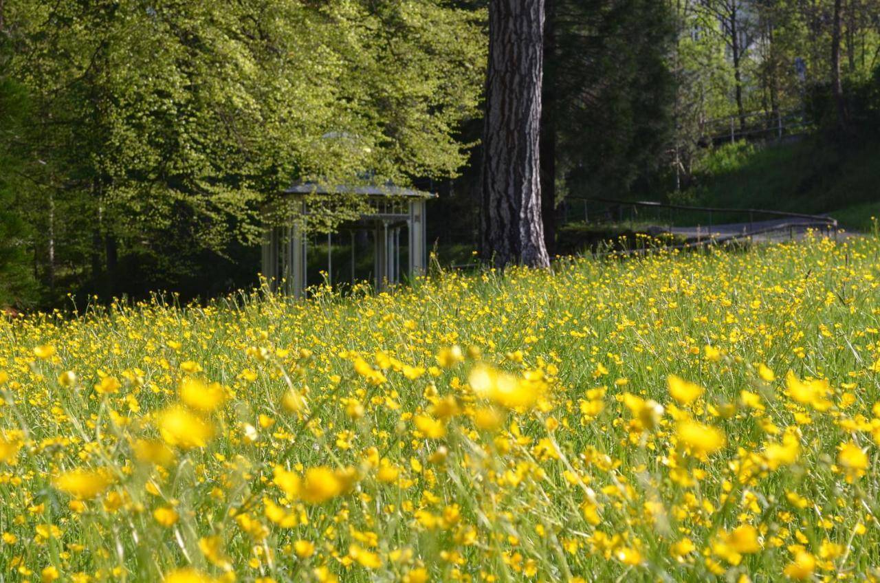 Ferienwohnung Am Kurpark Bad Wildbad Dış mekan fotoğraf