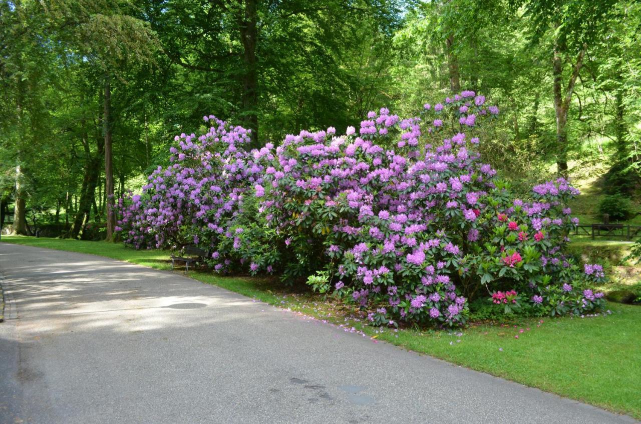 Ferienwohnung Am Kurpark Bad Wildbad Dış mekan fotoğraf